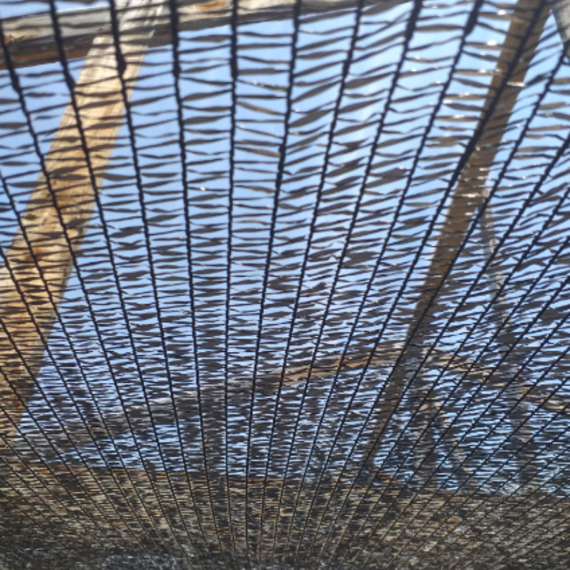 malla raschel 50% sombra 2,10 mts de ancho malla raschel 50% sombra 2,10 mts de ancho