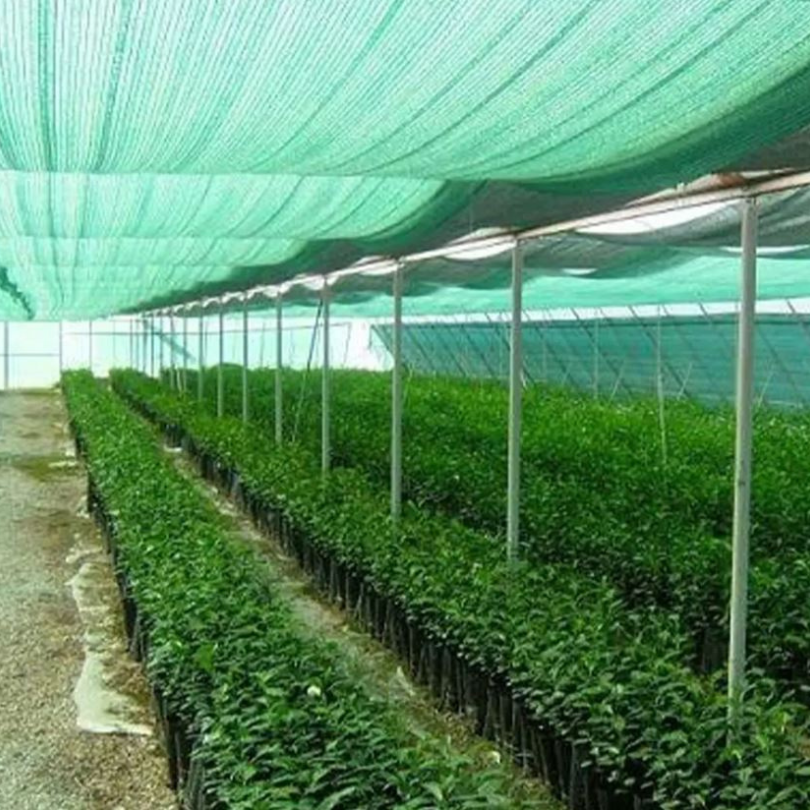 malla raschel 50% sombra 4,20 mts de ancho malla raschel 50% sombra 4,20 mts de ancho