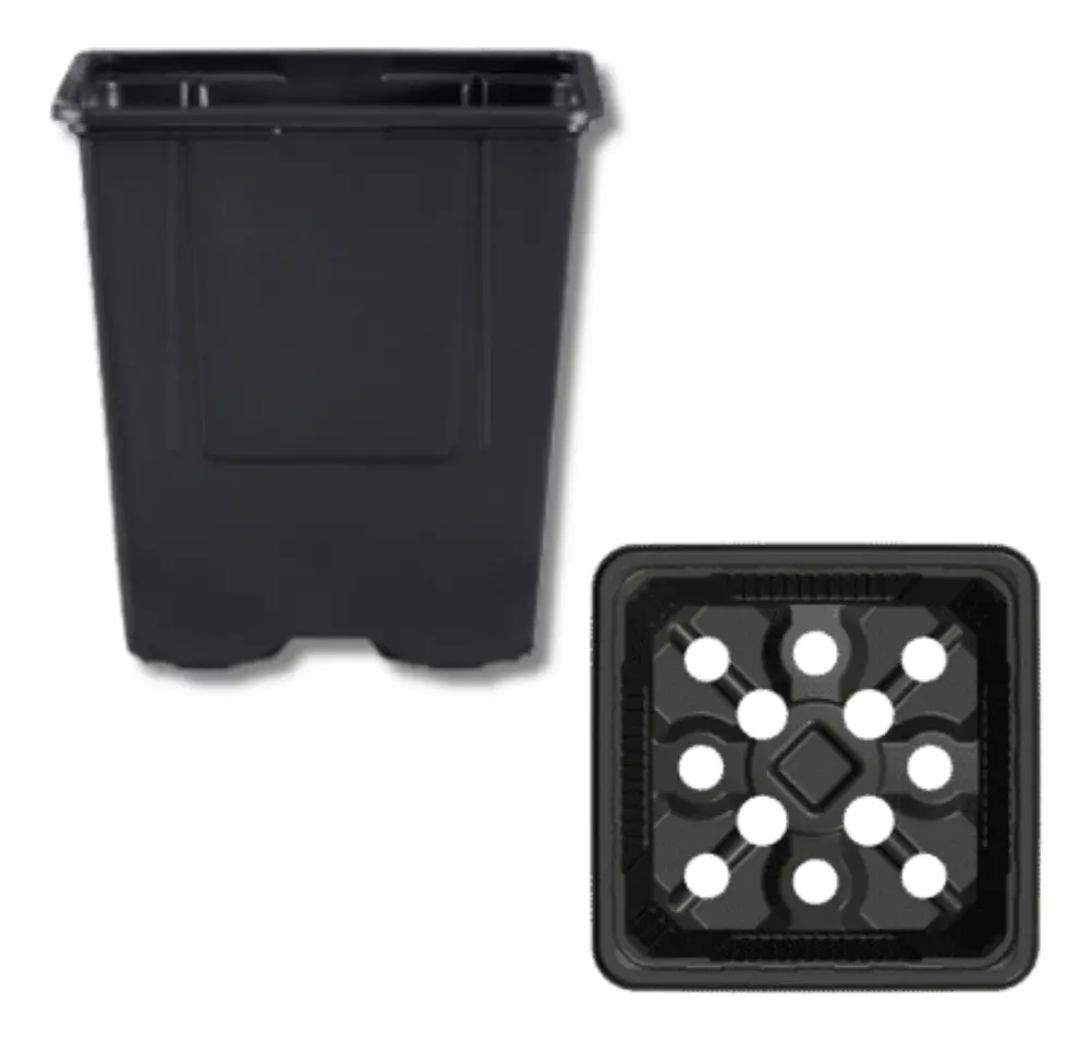 macetas 9x9x9,5 (especial plantas medicinales o aromáticas) macetas 9x9x9,5 (especial plantas medicinales o aromáticas)