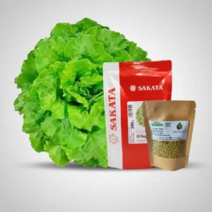 semilla lechuga regianemil peletizada para hidroponía