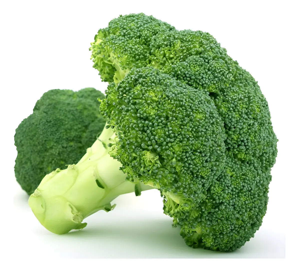 Semillas Brocoli Variedad Waltham-29 2 grs semillas brocoli variedad waltham 29 2 grs