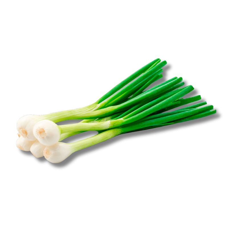 Semillas Cebollín Variedad Tokio Long 2 grs semillas cebollín variedad tokio long 2 grs