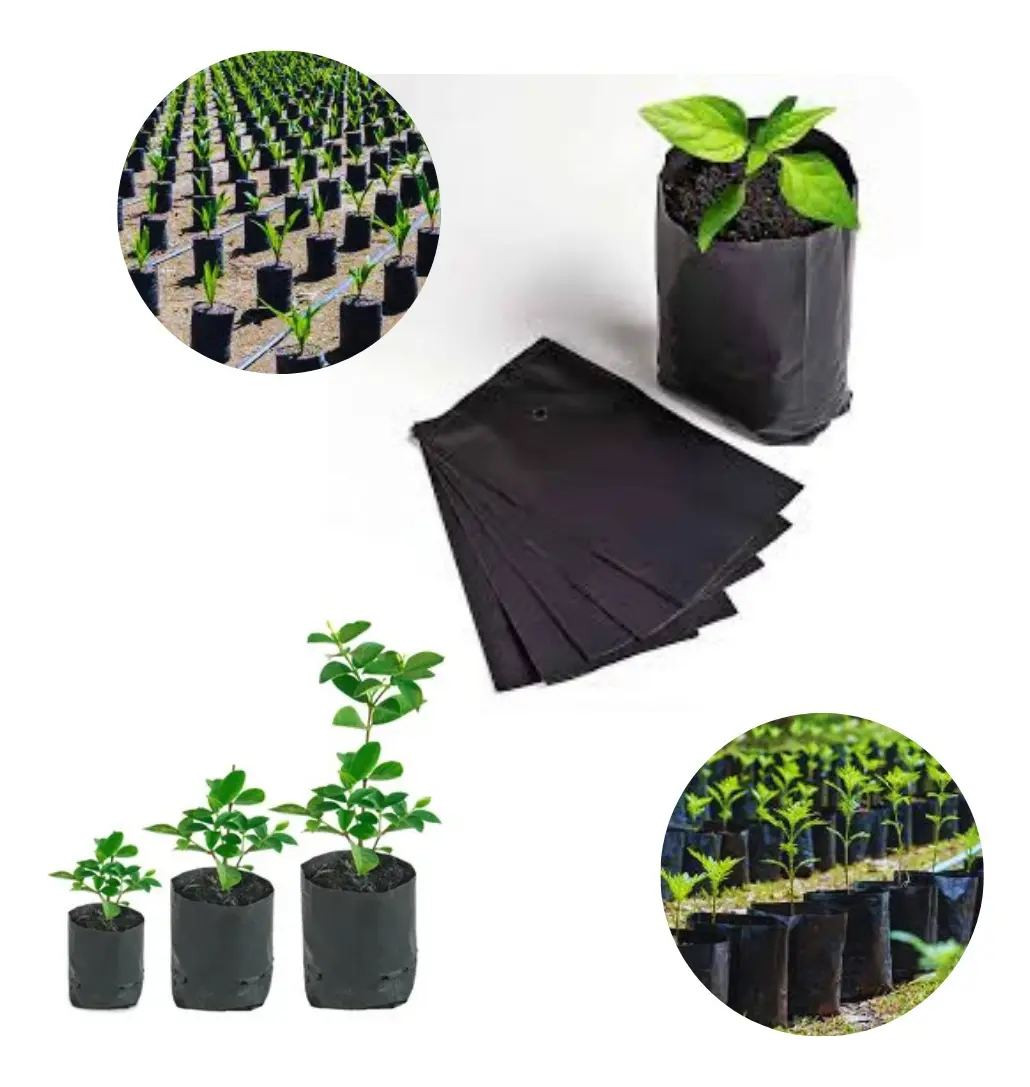 Bolsas para Plantas Y Almácigos 25x40 (0,8mm) bolsas para plantas y almácigos 15x15 (0,6mm)