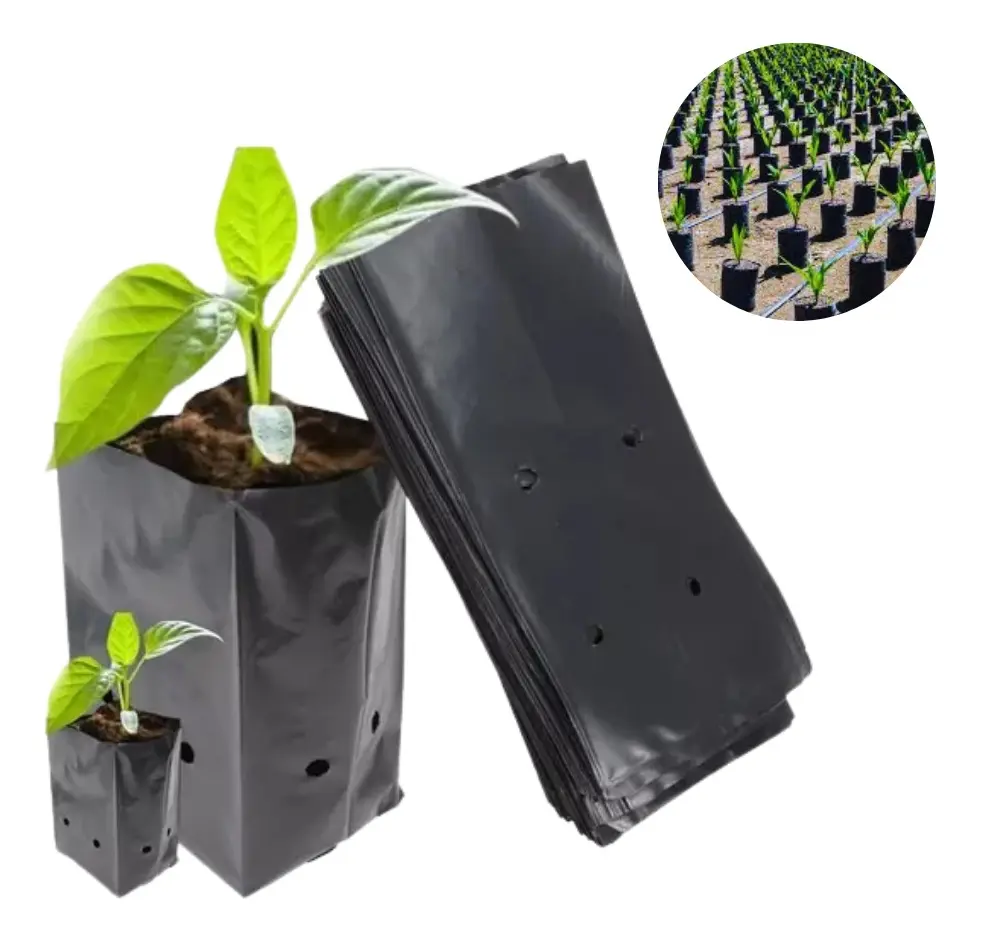 Bolsas para Plantas Y Almácigos 25x40 (0,8mm) bolsas para plantas y almácigos 15x15 (0,6mm)