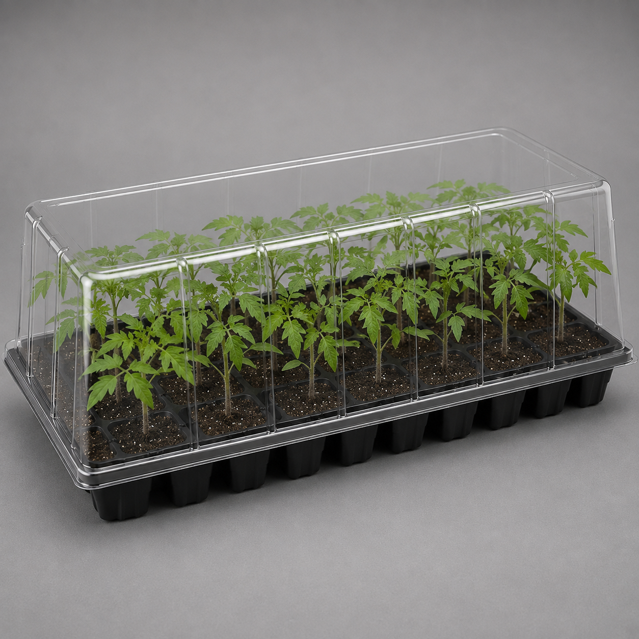 Kit De Germinación Esencial PRO (almácigos - Plantines) kit de germinación esencial pro (almácigos plantines)