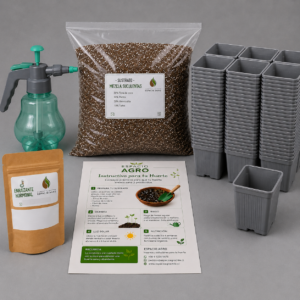 kit propagación suculenta y cactus 100 plantas (negocio)
